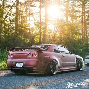 Meet your Posher, Brock